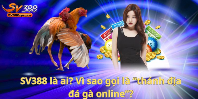 SV388 là ai? Vì sao gọi là “thánh địa đá gà online”?
