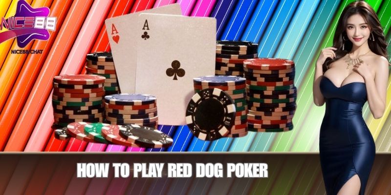 How to Play Red Dog Poker
