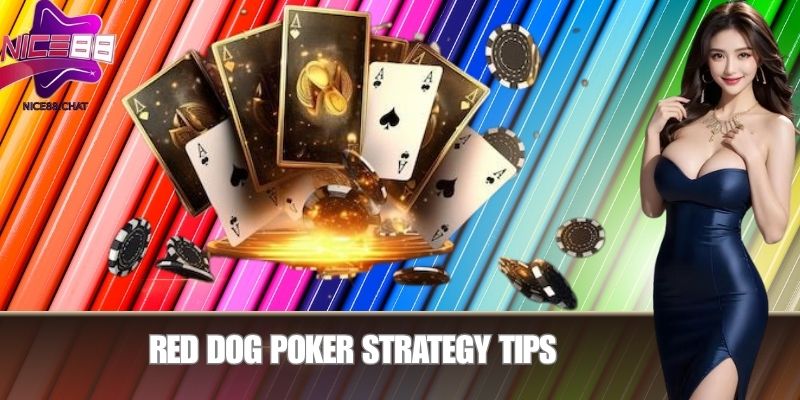 Red Dog Poker Strategy Tips