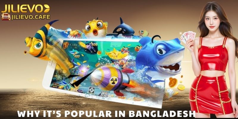 Why It’s Popular in Bangladesh