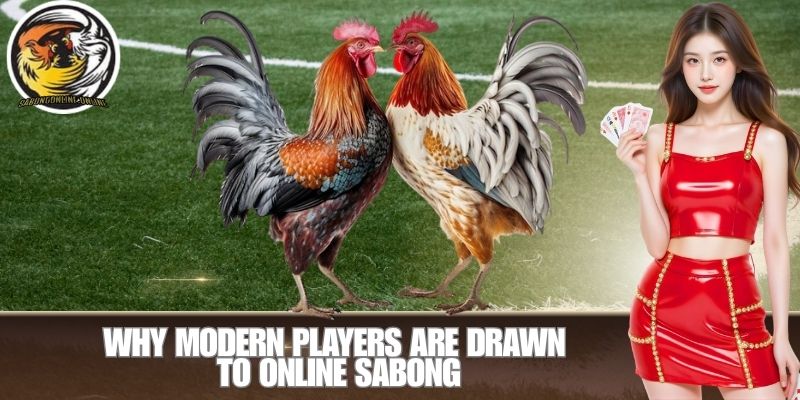 Why Modern Players Are Drawn to Online Sabong